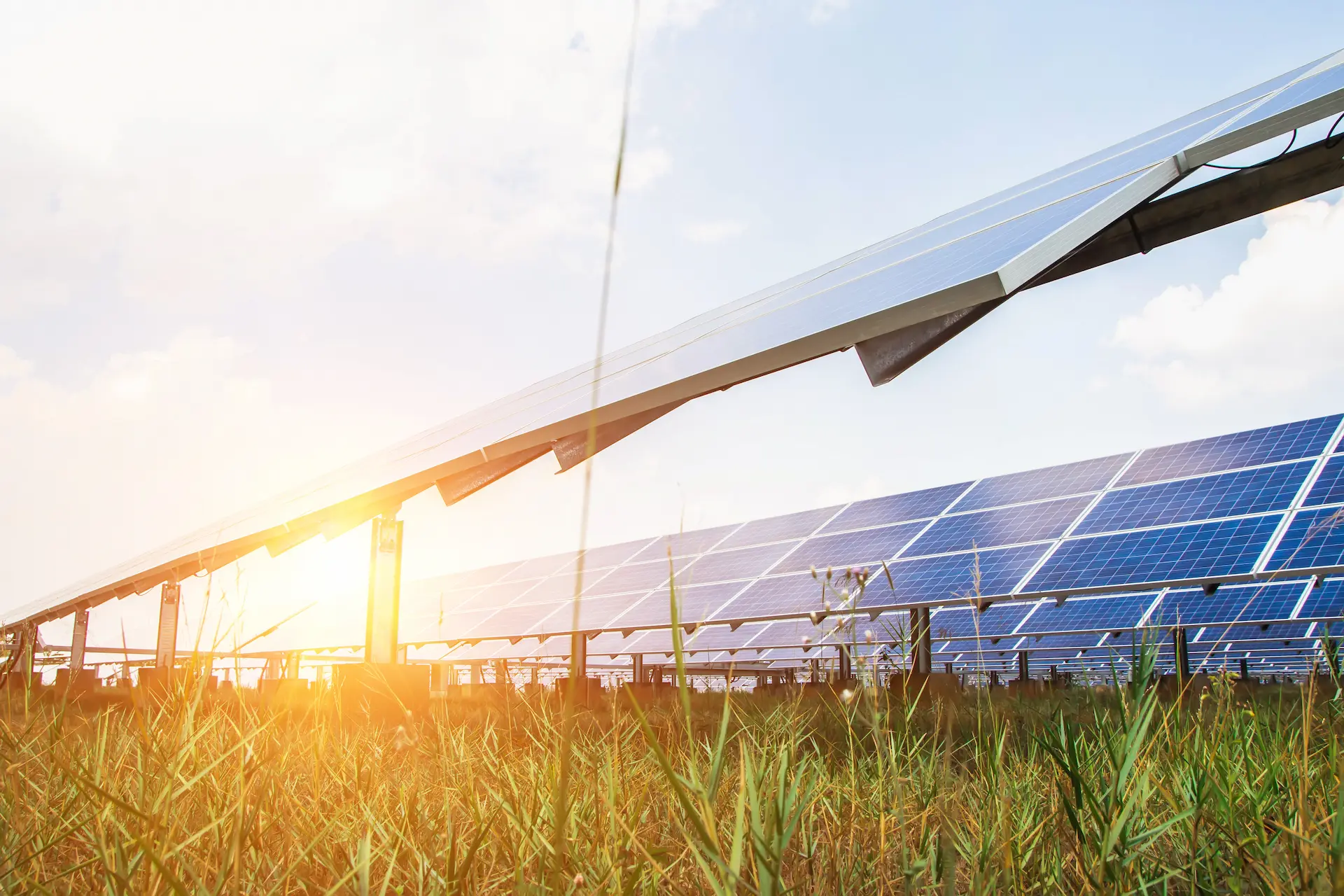 Solar panels with sunset in the field
